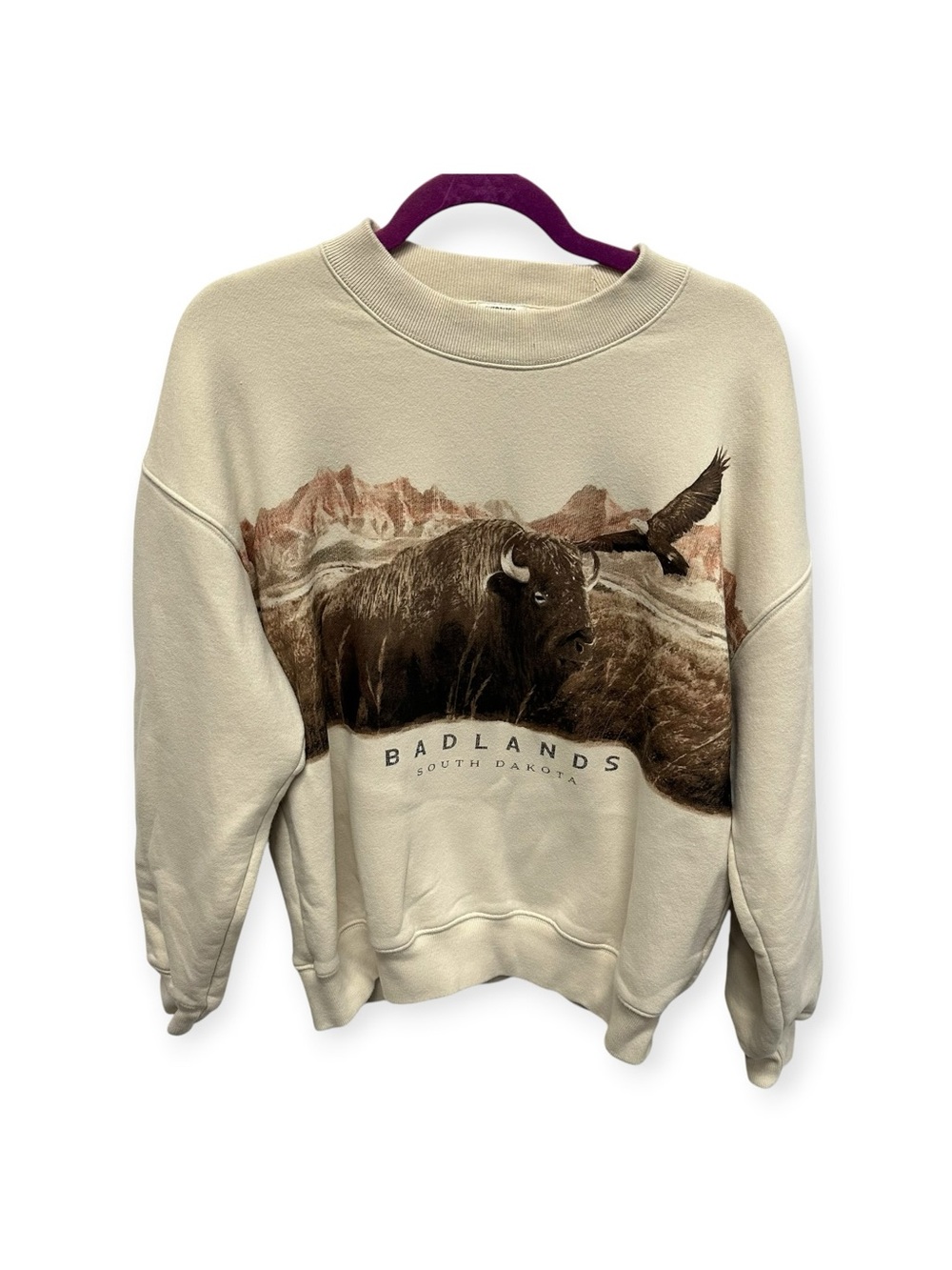 Abercrombie & Fitch Badlands South Dakota  Sweatshirt Oversize XS TikTok viral